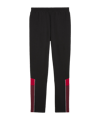 PUMA Schweiz Ftbl Archive Trainingshose EM 2024 Schwarz F14 - schwarz
