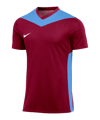 Nike Park Derby IV Trikot Rot Blau F677