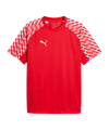 PUMA teamLIGA26 Trikot Rot F01 - rot