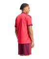 adidas Olympique Lyon Trikot Away 2026/2027 Rot - rot