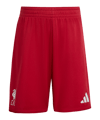 adidas FC Liverpool Trikot Set Home 2025/2026 Kids Rot - rot