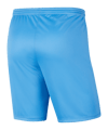 Nike Park III Short Kids Blau F412 - blau