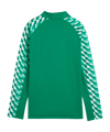 PUMA teamLIGA26 Training 1/4 Zip Top Kids Grün F05 - gruen