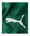 PUMA FC St. Gallen 1879 Trikot Home 2026/2027 Grün F01 - gruen