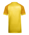 Nike Trophy VI Trikot Kids Gelb F719 - gelb