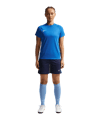 Nike Park VIII Trikot Damen Blau F463