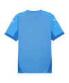PUMA teamFINAL Trikot Blau Weiss Blau F02 - blau