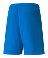 PUMA teamLIGA Shorts Blau F02 - blau