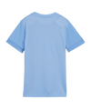 PUMA teamGOAL Matchday Trikot Damen Blau Weiss F18 - blau