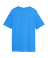 PUMA teamFINAL Graphic Trikot Kids Blau F02 - blau