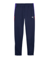PUMA IndividualLIGA Trainingshose Kids Blau F01