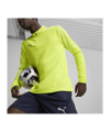 PUMA teamFINAL Training 1/4 Zip Sweatshirt F30 - tuerkis