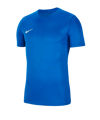 Nike Park VII Trikot kurzarm Blau F463