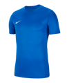 Nike Park VII Trikot kurzarm Blau F463