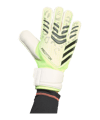 adidas Predator Match Torwarthandschuhe Grün - gruen