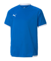 PUMA teamLIGA Trikot Kids Blau F02