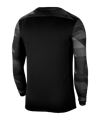 Nike Park IV TW-Trikot langarm Kids F010 - schwarz