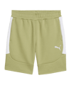 PUMA teamEVOSTRIPE Short Grün F40
