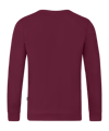 Jako Doubletex Sweatshirt Braun F130 - braun