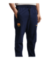 Nike FC Barcelona Trainingshose Blau F498 - blau