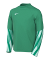 Nike Park V Trikot langarm Kids Grün F324 - gruen