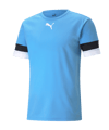 PUMA teamRISE Trikot Hellblau F18
