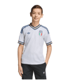 adidas FIGC Italien Trikot Away WM 2026 Kids Blau - blau