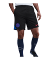 Nike Paris Saint-Germain Strike Short Schwarz F010 - schwarz