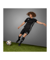 adidas Pro EM 2024 Final Spielball Silber - silber