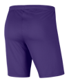 Nike Park III Short Lila F547 - lila