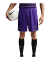 Nike FC Barcelona Short Away 2026/2027 Lila F504 - lila