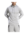 adidas Tiro 24 Training Hoody Grau Weiss - grau