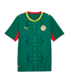PUMA FSF Senegal Trikot Away WM 2026 Grün F02 - gruen