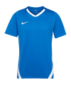 Nike Team Spike Trikot Kids Blau F463