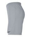 Nike Park III Short Grau F012