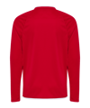 hummel Core 2.0 Trikot Langarm Kids Rot F3946 - rot