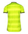 Castore Bayer 04 Leverkusen Torwarttrikot Home 2022/2023 Grün - gruen
