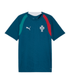 PUMA FPF Portugal Trainingsshirt Blau F15 - blau