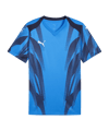 PUMA teamFINAL Graphic Trikot Blau F02