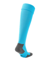 PUMA teamLIGA Core Stutzenstrumpf Blau F40 - blau