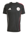 adidas Ajax Amsterdam Trainingsshirt Schwarz - schwarz