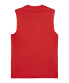 PUMA teamGOAL Tanktop Rot Weiss F01 - rot