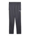 PUMA Trainingshose Kids Grau F08