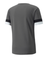 PUMA teamRISE Trikot Grau F13 - grau