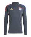 adidas Olympique Lyon Competition Sweatshirt Grau Training To Grey - grau