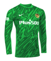 Young Boys Bern BSC Young Boys Torwarttrikot Home 2025/2026 Grün - gruen
