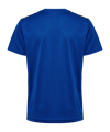 Hummel AUTHENTIC PL Trikot Kids Blau F7045 - blau