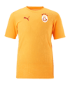 PUMA Galatasaray Istanbul Training T-Shirt Gelb F202 - gelb