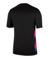 Nike England Trikot Away 2025 Schwarz F010 - schwarz