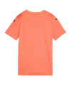 PUMA teamUltimate Trikot Kids Orange F38 - orange